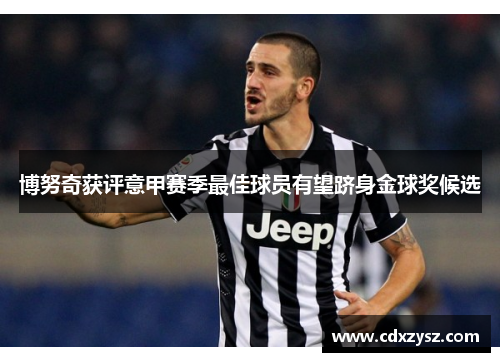 博努奇获评意甲赛季最佳球员有望跻身金球奖候选